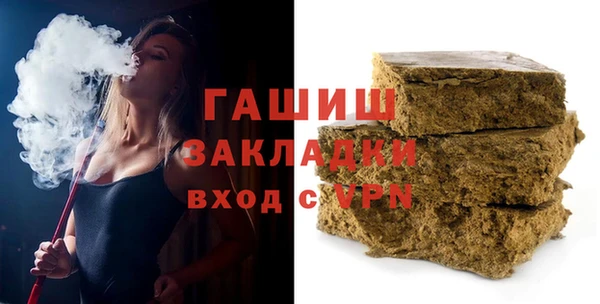 индика Бородино